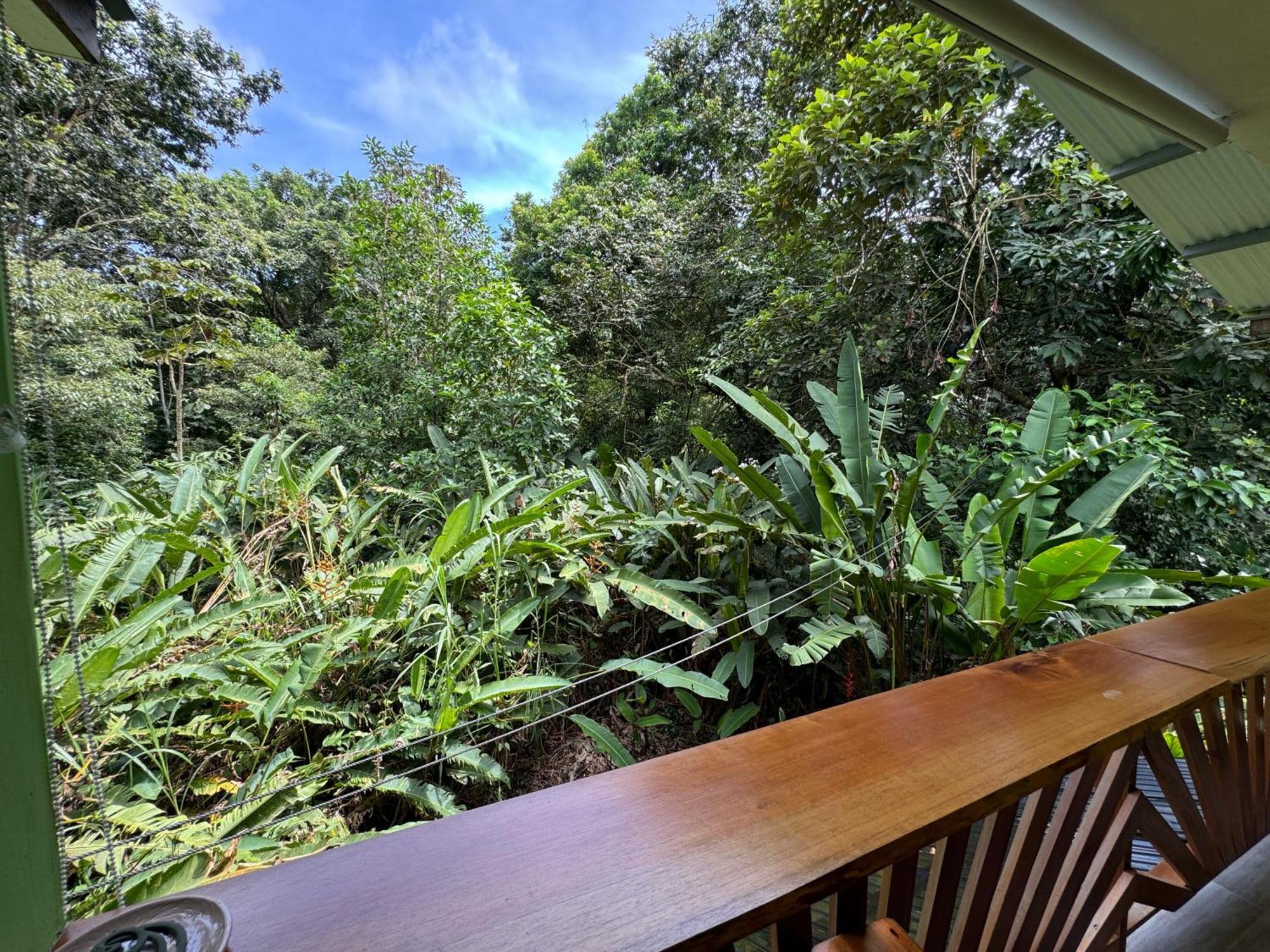 Chilamate Room Tortuguero Kültér fotó